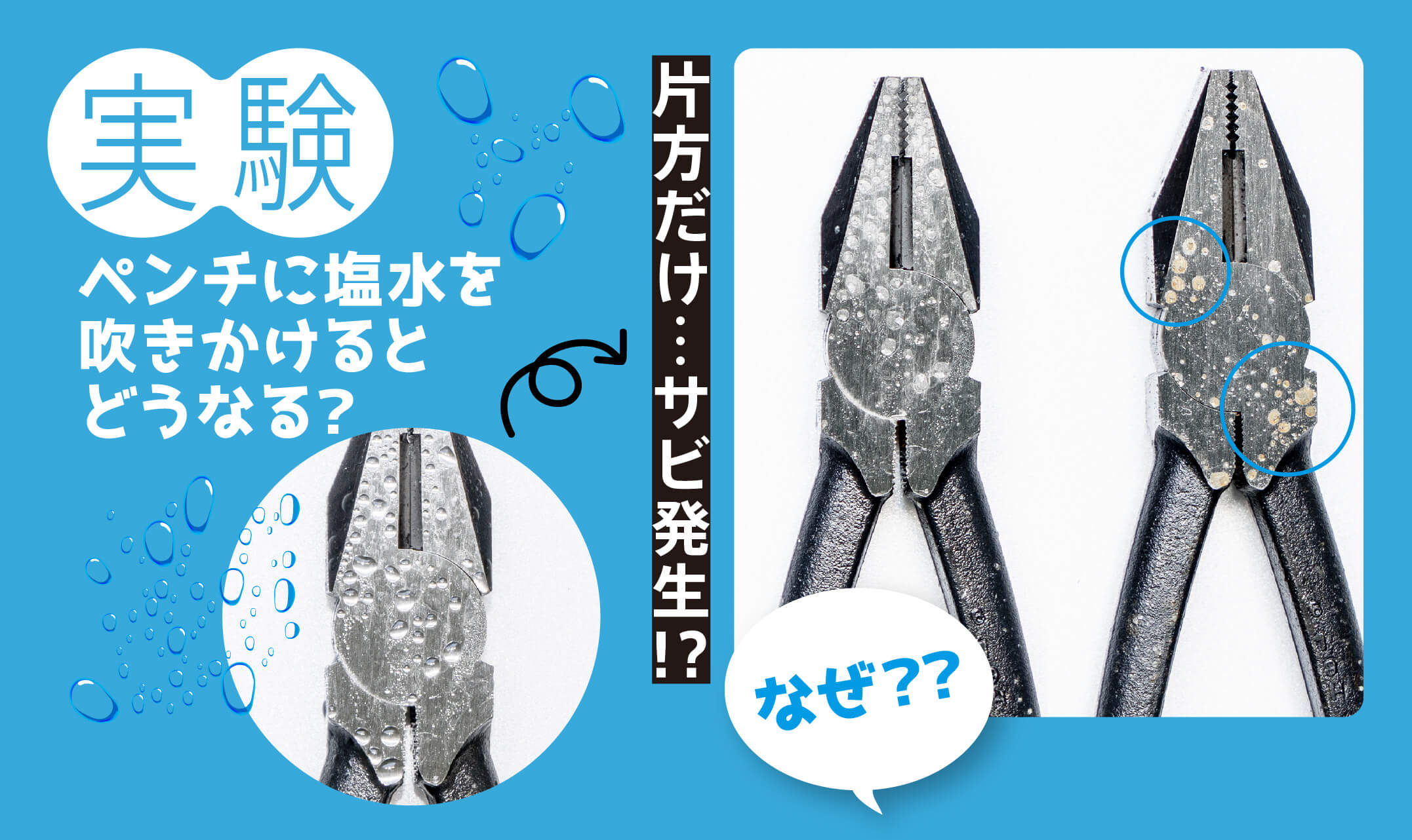 工具をサビから守ろう!-ツノチョク