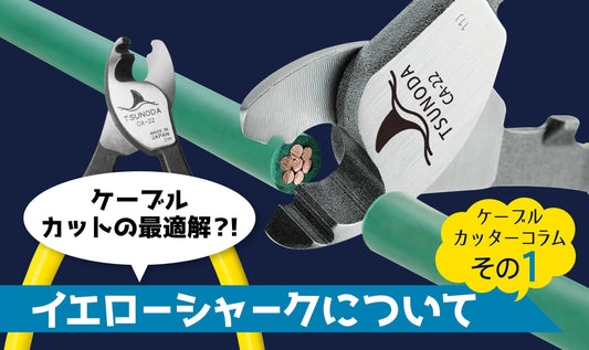 イエローシャークの秘密 その1