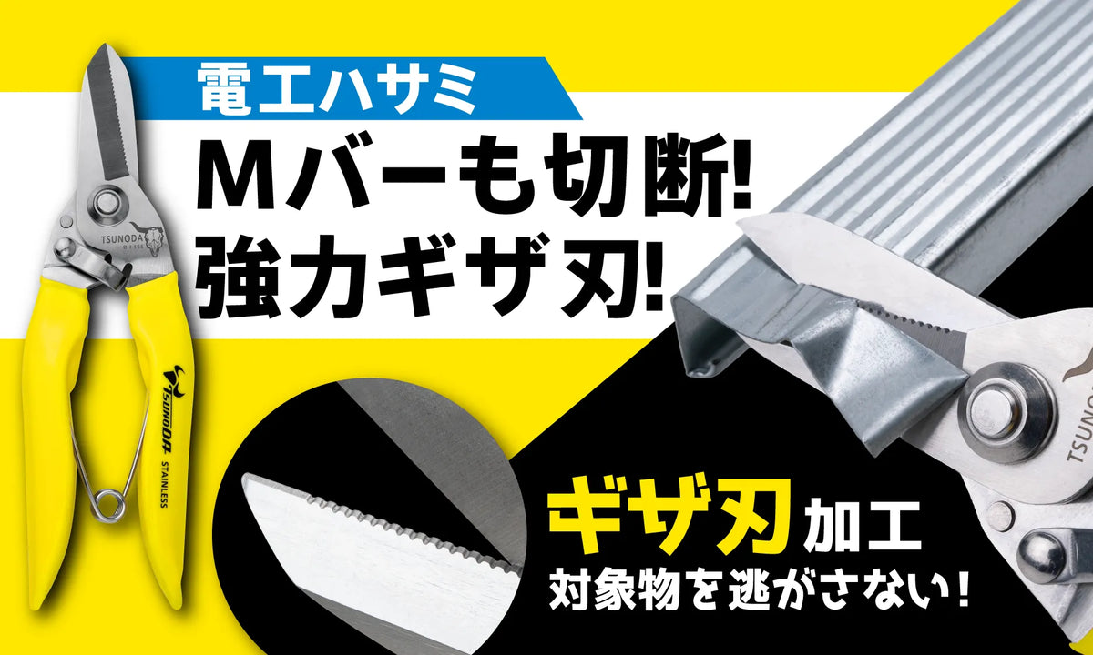 スライド画像
