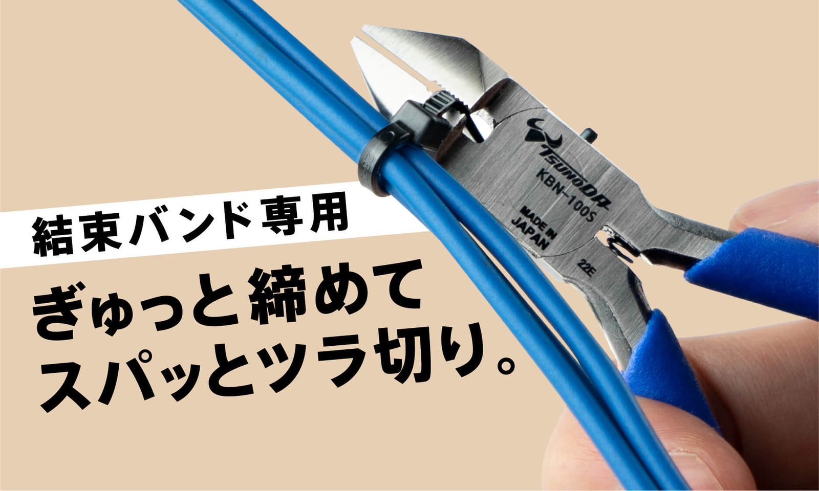 スライド画像