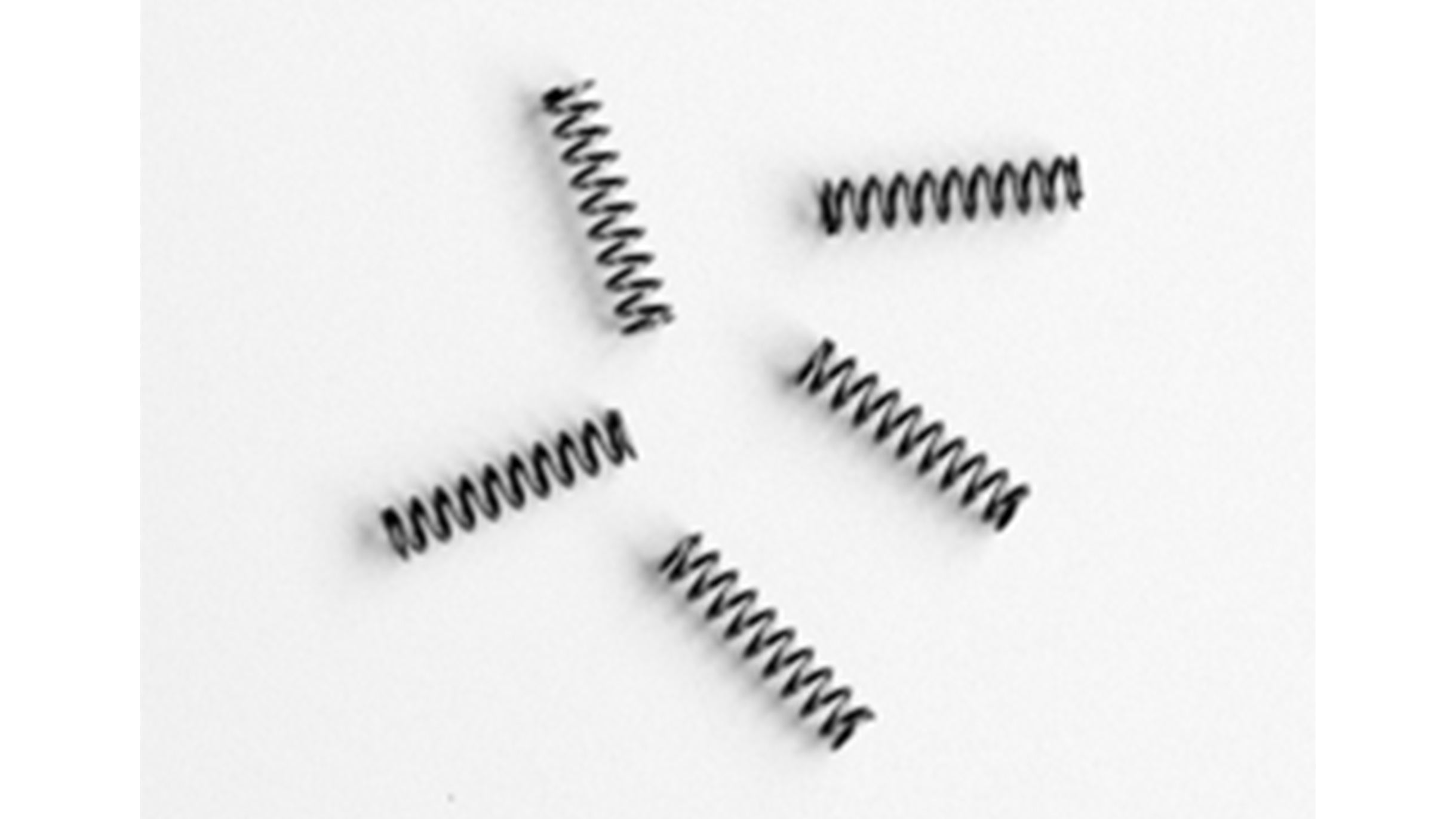 pananochiページ 2 Z PACK d | type-F Small Backpack A4/14